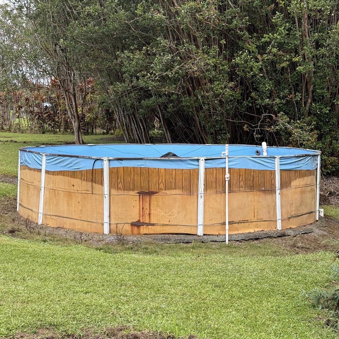 Old weathered catchment tank before replacement Big Island Hawaii